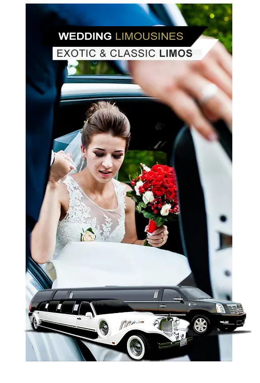 OC Wedding Limo